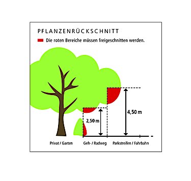 Hinweis Pflanzenrückschnitt 